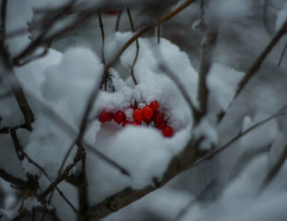 Similar image 22344453