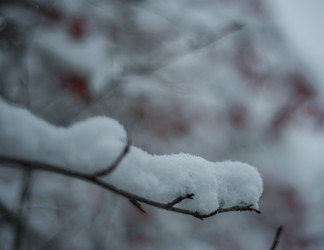 Similar image 22344457