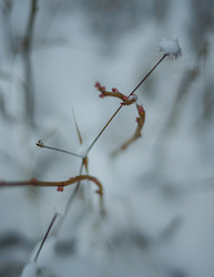 Similar image 22344461