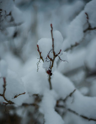 Similar image 22344463