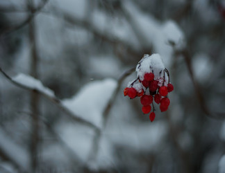 Similar image 22344465