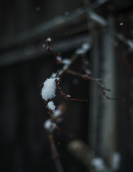 Similar image 22345706