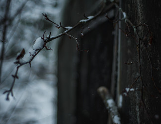 Similar image 22345708