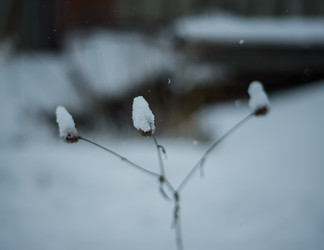 Similar image 22345710