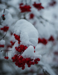 Similar image 22345713