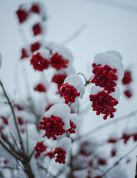 Similar image 22345715