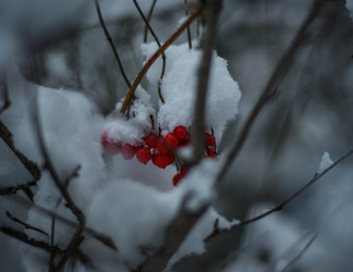 Similar image 22345719