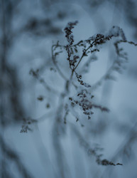 Similar image 22344469