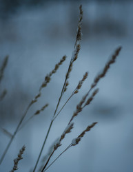 Similar image 22344471