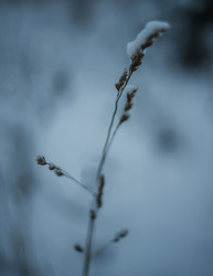 Similar image 22344473