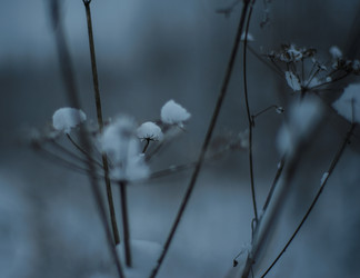 Similar image 22344475