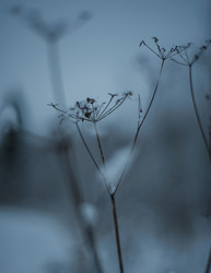 Similar image 22344477