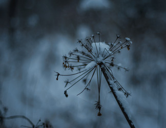 Similar image 22344481