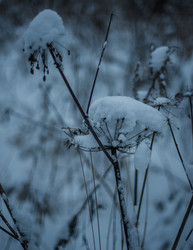 Similar image 22344483