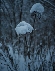 Similar image 22344485