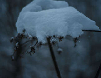 Similar image 22344487