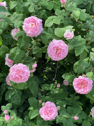 Similar image 22348057