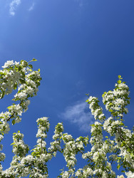 Similar image 22348060