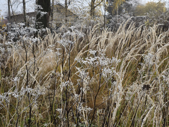 Similar image 22342032