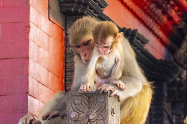 Similar image 22342037