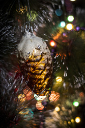 Similar image 22341977