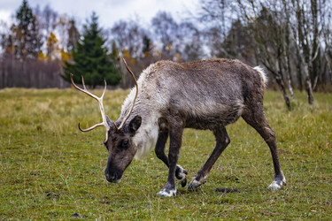 Similar image 22342101