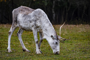 Similar image 22342102