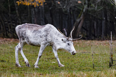 Similar image 22342104