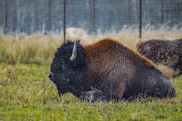 Similar image 22342105