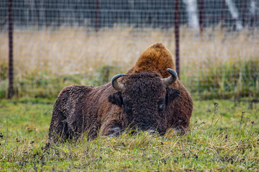 Similar image 22342106