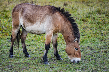 Similar image 22342107