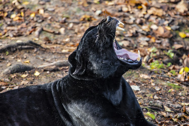 Similar image 22342108