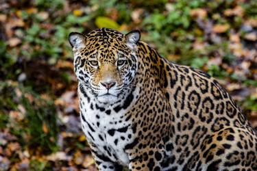 Similar image 22342112