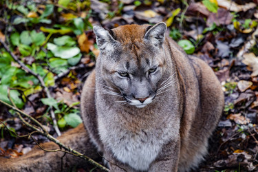 Similar image 22342134