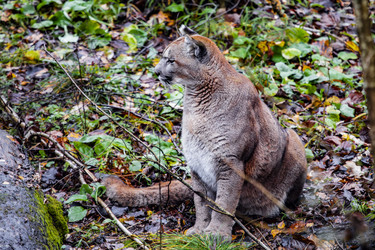 Similar image 22342135