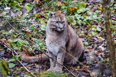 Similar image 22342136