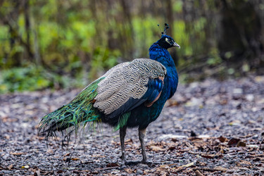 Similar image 22342139