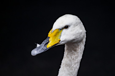 Similar image 22342140