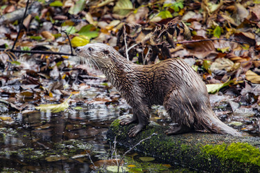 Similar image 22342143