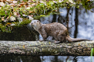 Similar image 22342144