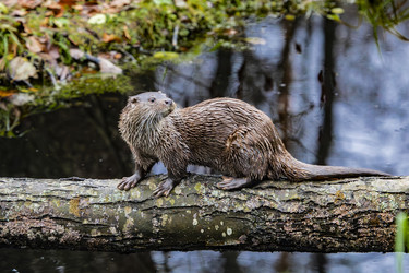 Similar image 22342145