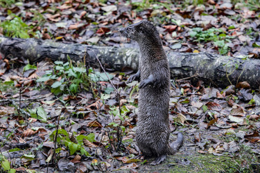 Similar image 22342146