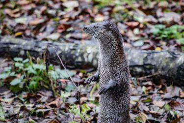 Similar image 22342147