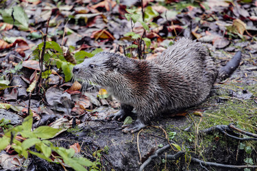 Similar image 22342149