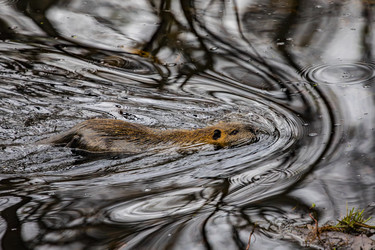 Similar image 22342151