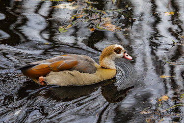 Similar image 22342153