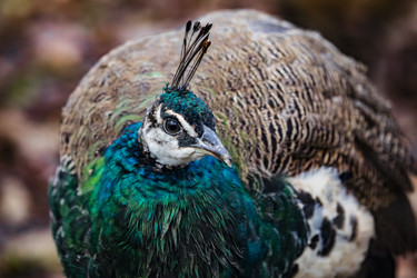 Similar image 22342156