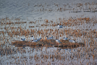 Similar image 22342394