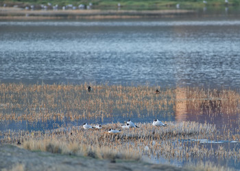 Similar image 22342401