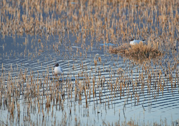 Similar image 22342403